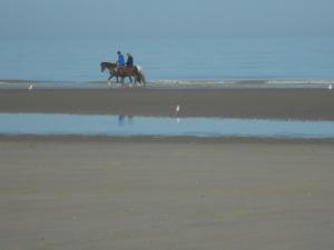 Reiter am Strand in Bredene