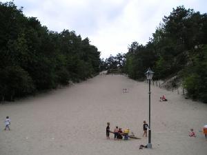 Kletterduene in Schoorl