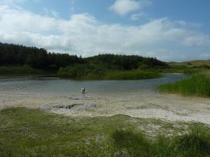 Gewässer in den Dünen