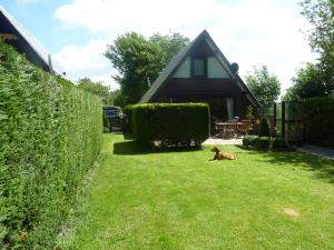Ansicht von Hinten mit Garten