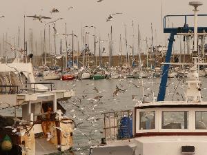 Am Hafen von Sete essen