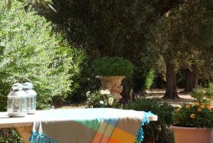 Strand bei Campomarino