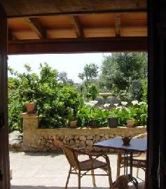 Blick vom Haus auf die überdachte Terrasse