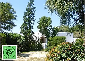 Ferienhaus in Zahora - Barbate