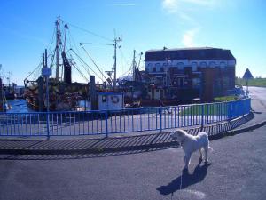 Pellwormer Impressionen