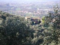 Ferienhaus am Bauernhof in der Toskana mit Panoramablick auf Calci und Meer am Rand des Val Graziosa