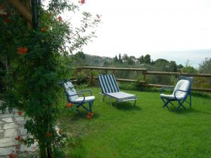 Gemeinsamer Garten - Panoramische Terrasse