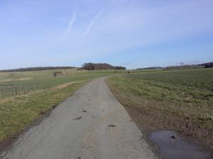 befestigter Feldweg