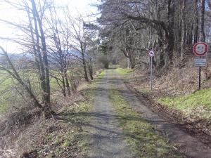 unbefestigter Waldweg
