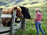Kinderreitferien – Reiturlaub – Reitkurse – für Mädchen und Jungen
