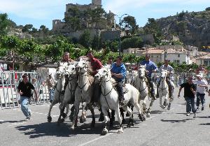 Stiertreiben in Boulbon