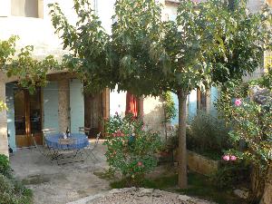 Südgarten mit Maulbeerbaum