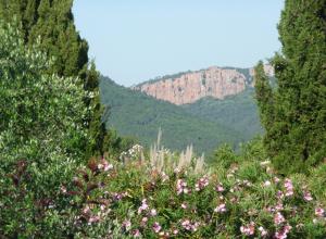 Blick vom Garten auf Felsen