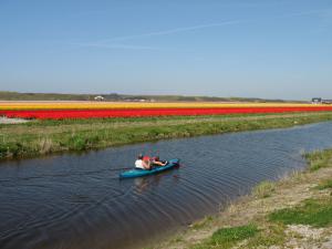 Tulpenfelder