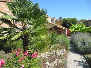 Blick in den mediterranen Garten