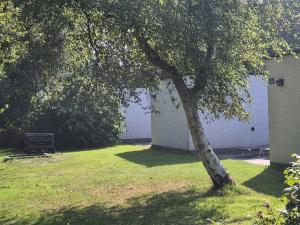 Gartenseite