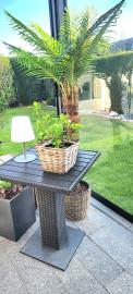 Blick in den Garten