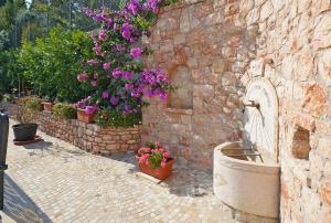 Eine Ecke des Gartens mit schöne Blumen