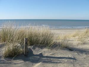 Herrlicher Strand