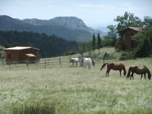 Roulotte (li) und Chalet (re)