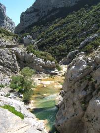 Badestelle in der Gorges de Galamus