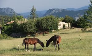 Blick auf das Landhaus und die Pyrenäen