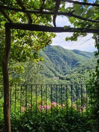 Blick von Pergola ins Tal