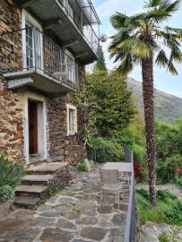 Natursteinterrasse mit Palme