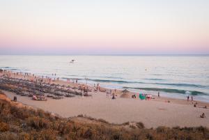 Praia da Gale, Strandleben