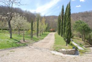 Zufahrtsspur der Villa