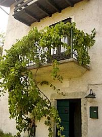 Weinberankter Balkon.  Hauptbild zeigt den Blick