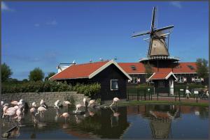 der Tierpark in direkter Nachbarschaft