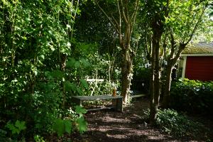 ...unser kleiner 'Wald' am Garten