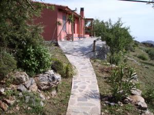 Gartenweg zur Terrasse