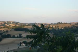 Blick von Terrasse im Abendlicht