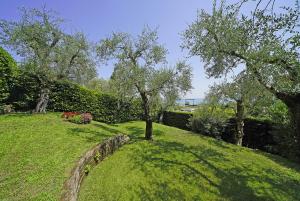 Oliven Garten der Villa Daniela ist eingezäunt