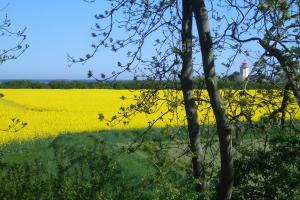 Blick aus dem Wohnstudio nach Norden