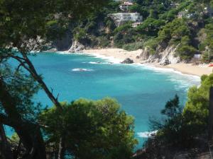 Blick auf Bucht von Santa Maria de Llorell