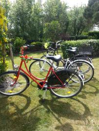 3 Hollandräder stehen Ihnen zur Verfügung