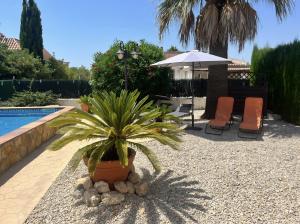 Garten mit Pool
