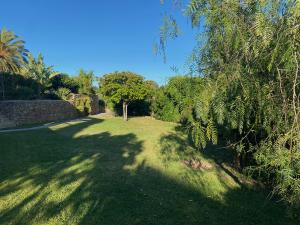 Ebenerdiger Garten, direkt zugänglich