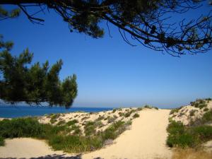 Fussweg zum Strand