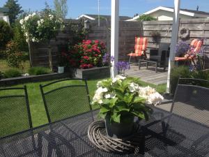 Blick in den Garten