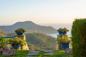 die Aussicht vom Garten