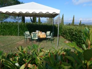 Ein Garten zum Genießen