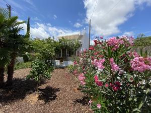 Haus mit noch 'vor Corona' neu angelegtem Garten.