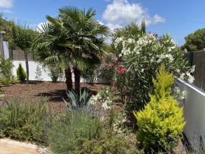 Der Anfang 2020 neu angelegte Garten.