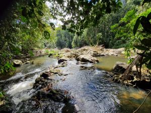 Khao Yai Nationalpark